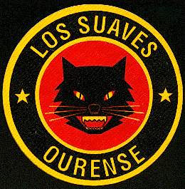 gato